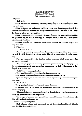 Giáo án Khoa học tự nhiên 6 (Kết nối tri thức với cuộc sống) - Bài 36: động vật