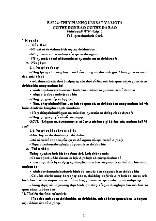 Giáo án Khoa học tự nhiên 6 (Kết nối tri thức với cuộc sống) - Bài 24: Thực hành Quan sát và mô tả cơ thể đơn bào, cơ thể đa bào