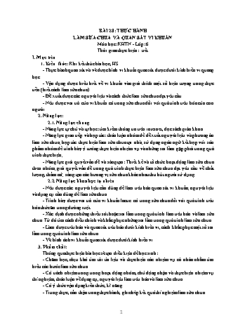 Giáo án Khoa học tự nhiên 6 (Kết nối tri thức với cuộc sống) - Bài 28: Thực hành Làm sữa chua và quan sát vi khuẩn