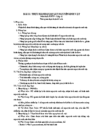 Giáo án Khoa học tự nhiên 6 (Kết nối tri thức với cuộc sống) - Bài 31: Thực hành quan sát nguyên sinh vật