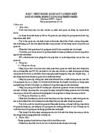 Giáo án Khoa học tự nhiên 6 (Kết nối tri thức với cuộc sống) - Bài 37: Thực hành Quan sát và nhận biết một số nhóm động vật ngoài thiên nhiên