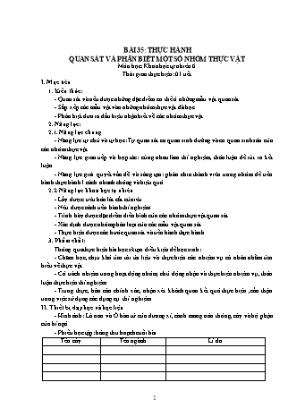 Giáo án Khoa học tự nhiên 6 (Kết nối tri thức với cuộc sống) - Bài 35: Thực hành Quan sát và phân biệt một số nhóm thực vật