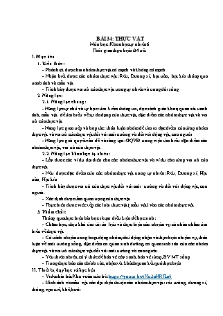 Giáo án Khoa học tự nhiên 6 (Kết nối tri thức với cuộc sống) - Bài 34: Thực vật