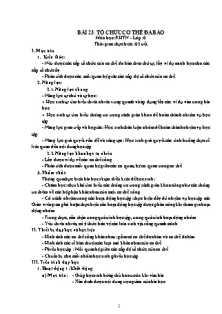 Giáo án Khoa học tự nhiên 6 (Kết nối tri thức với cuộc sống) - Bài 23: Tổ chức cơ thể đa bào